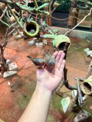 -Zoolung Zoolung动物主题公园(海信广场店)