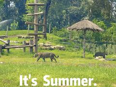 -北京野生动物园