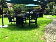 -大可堂普洱茶馆(襄阳南路馆)