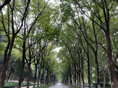 -后襄河公园