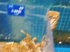 -曼格活海鲜·牛排自助(光明蓝鲸店)