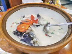 -全乐鱼馆·淳牌有机鱼直营店