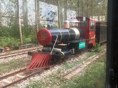 -合肥滨湖国家森林公园