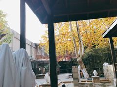 -春晖园度假酒店温泉