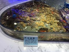 花盖蟹-澜悦港海鲜体验主题餐厅
