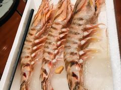 -旨味Umami_融合料理(万博汇店)