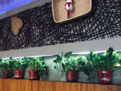 -香满园春饼·家常菜(东大桥店)