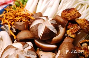 Fresh Mushroom Platter