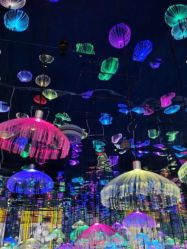 点击看大图 -萌兔星空蹦床撸兔馆
