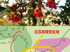 -梧桐山风景名胜区