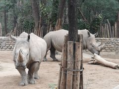 -北京野生动物园