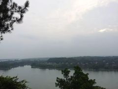 -枫林花海