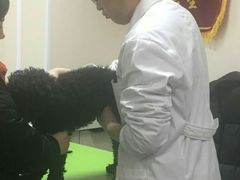 -德元·美联众合24小时动物医院(总院)