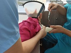 -荔康动物医院(康王北路店)