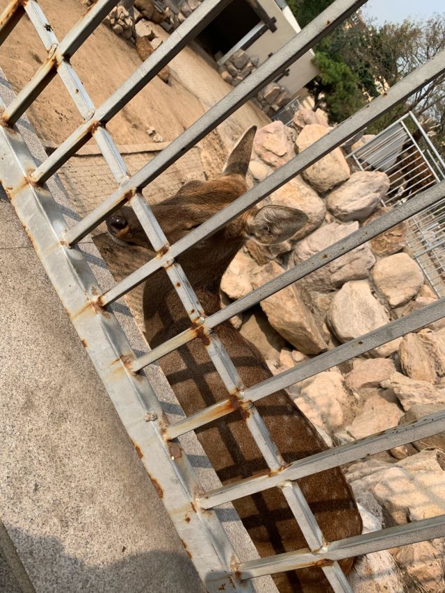 的,还要单独收15门票,我们带着孩子,对蛇之类的也不感兴趣就没进去看