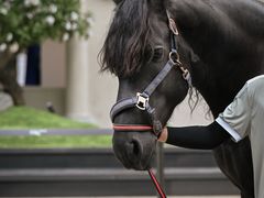 -深圳湾万象城(南山店)