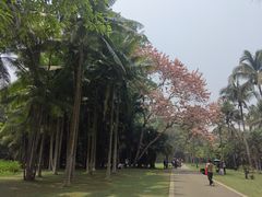 -中国科学院西双版纳热带植物园