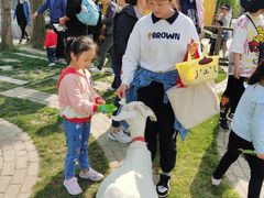 -前小桔亲子创意农场·草莓采摘·露营烧烤