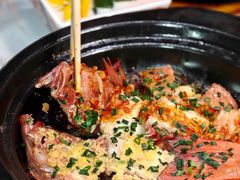 -金龙·打边炉(南京西路店)