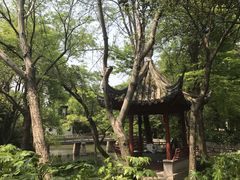 -汇龙潭