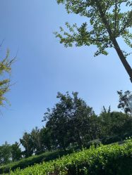 -HEYAN长风荷妍专业脱毛美肤
