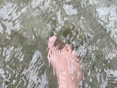 -碧水湾温泉