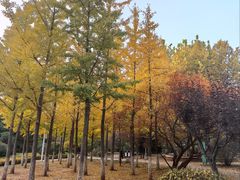 -前关湿地公园