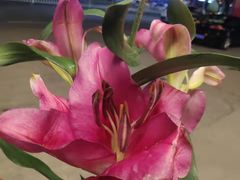 -江湖渔道(连平店)