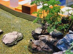 -森味薪火烧•烧鸟居酒屋•日本料理(望京店)