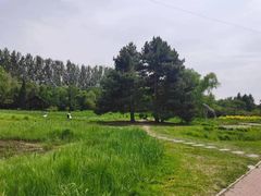 -黑龙江省森林植物园