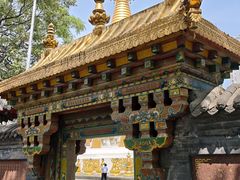 -护国法轮寺