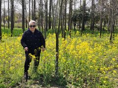 -上海长兴岛郊野公园