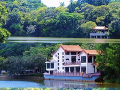 -深圳市中科院仙湖植物园
