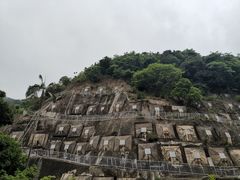 -香港大学