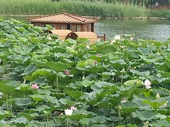 -西海子公园