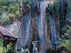 -西双版纳原始森林公园