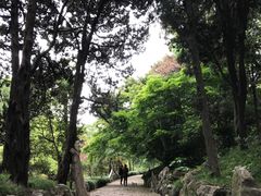 -叶家花园