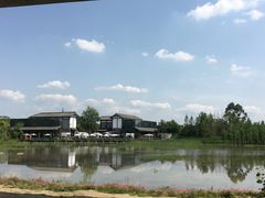 -白鹭湾湿地公园