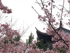 -堤角公园