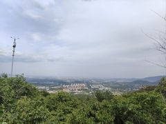 -阳台山自然风景区
