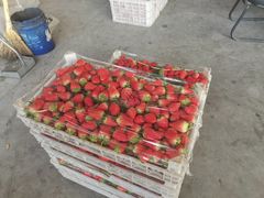 -东方鼎信农副产品交易中心