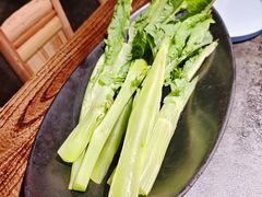 凤尾-吼堂老火锅(太古里总店)