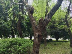 -中国计量大学(西校区)