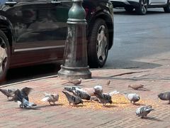 -小铜锣湾海鲜家常菜馆(河西店)