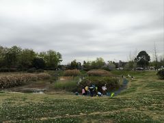 -两河城市森林公园