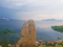 -洱海月湿地公园
