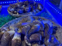 -熙楼(翠湖店)