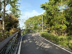 -福道