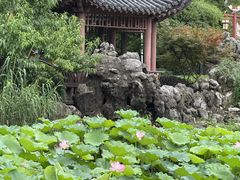-郑和公园