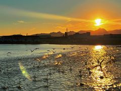 -映像威海·海鲜味道(市区店)